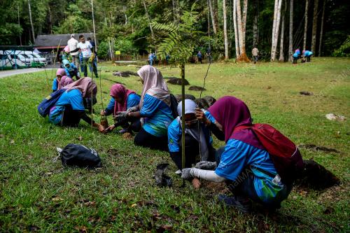 PROGRAM PENGHIJAUAN MALAYSIA AVISENA HEALTHCARE