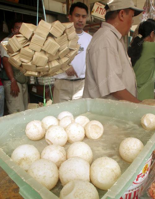 TELUR PENYU