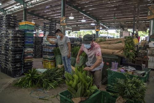 TINJAUAN DI PASAR BORONG KUALA LUMPUR
