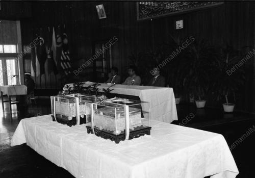 PIALA