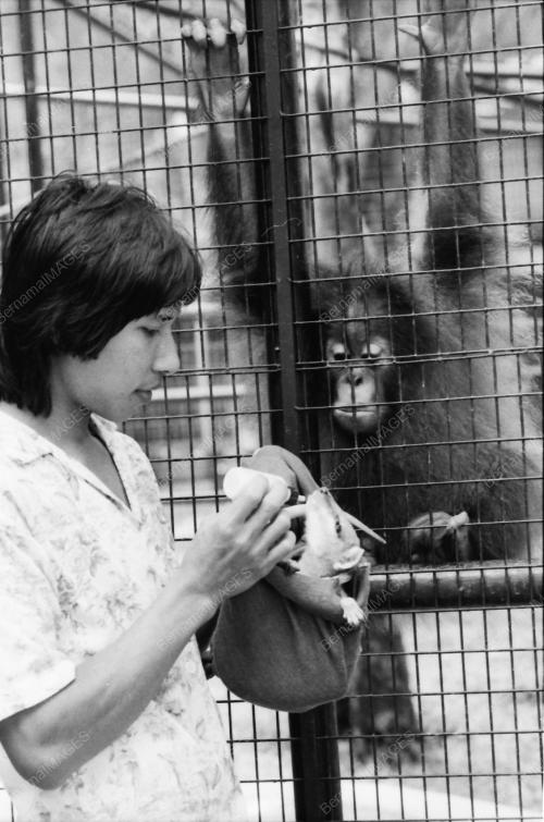 ZOO NEGARA