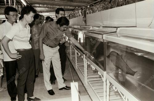 DATUK S. SUBRAMANIAM