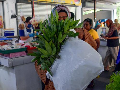 SAYUR