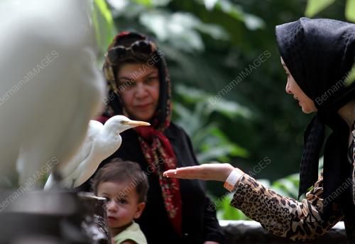 BIRD PARK