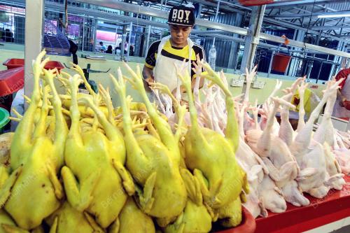 KL04_10072016_AYAM