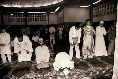 PEMUDA UMNO
