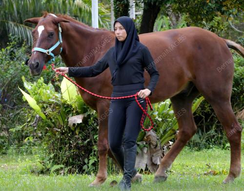 SHARIFAH NOORFASLINA SYED KAMAL