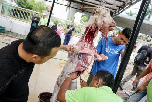KL04_13092016_POLIS_KORBAN
