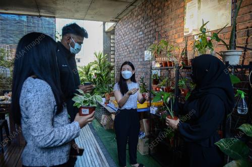 RESTORAN DIB TAWAR POKOK PERCUMA