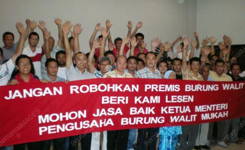 PENGUSAHA SARANG BURUNG WALIT