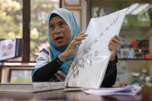 DR FADZUREENA JAMALUDIN