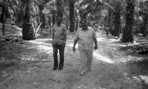 KL04_16012015_BIRI_BIRI