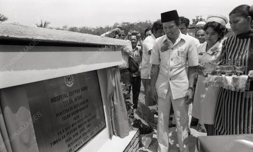 MUSA HITAM