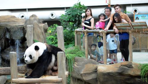 KL04_16112015_PANDA_ZOO