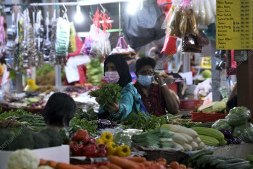 TINJAUAN HARGA SAYUR
