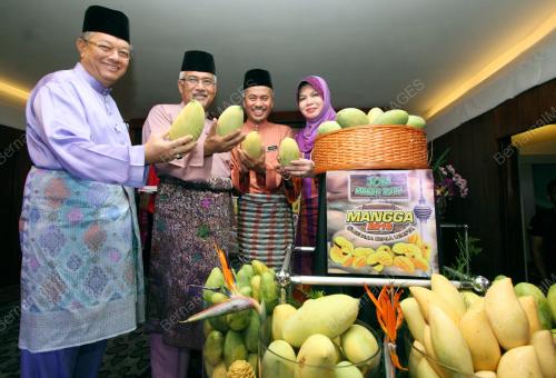 KL04_17052013_MANGGA