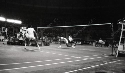 BADMINTON PIALA DUNIA