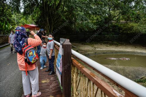 TINJAUAN ZOO NEGARA
