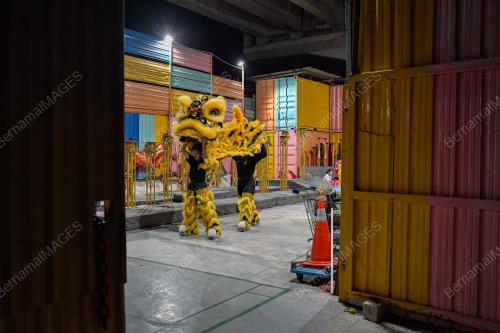 TECK SENG DRAGON & LION DANCE