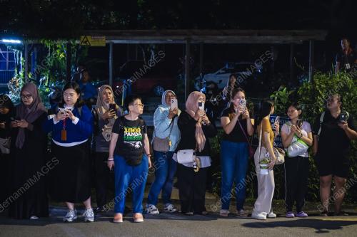 PENGHANTARAN PULANG PASANGAN PANDA GERGASI, FU WA DAN FENG
