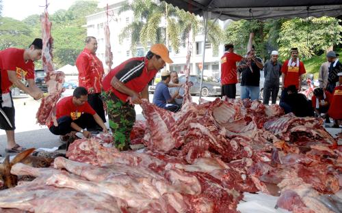 PROGRAM IBADAH KORBAN