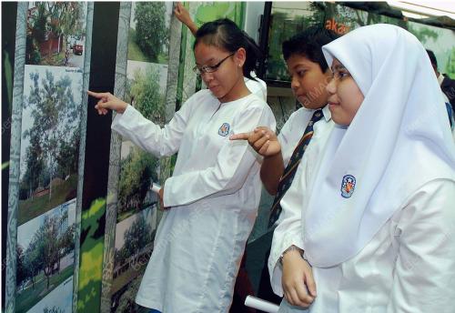 POKOK UNTUK KEHIDUPAN