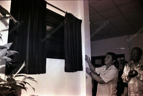 DATO' SERI DR LING LIONG SIK