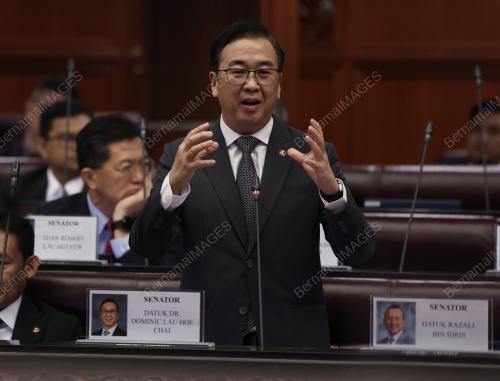 SENATOR DATUK DR DOMINIC LAU HOE CHAI