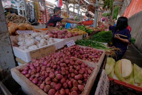 TINJAUAN HARGA BAWANG , DAN PAMER HARGA