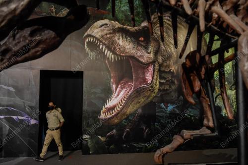 TUKANG JAHIT DINOSAUR DI PAMERAN DINOSAUR ENCOUNTER PUSAT SAINS