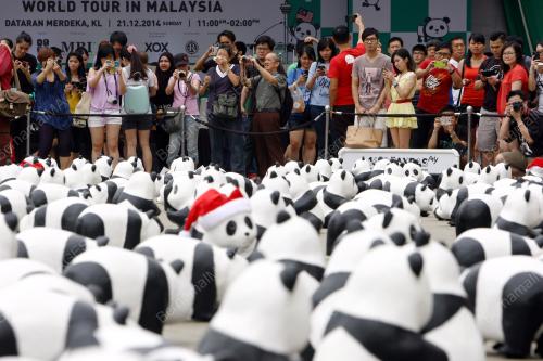 KL04_21122014_PANDA