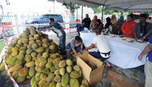 KL04_22072016_DURIAN