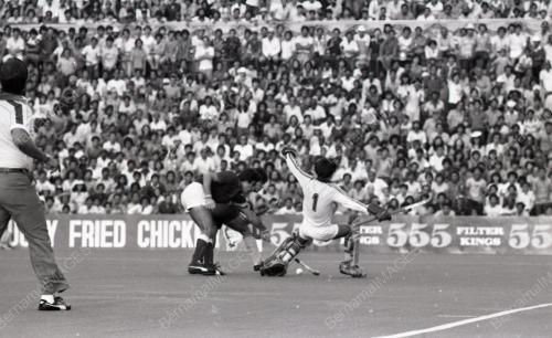 HOKI PIALA DUNIA