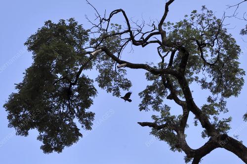 KL04_25092019_POKOK