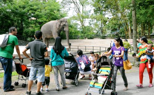 KL04_26052013_GAJAH