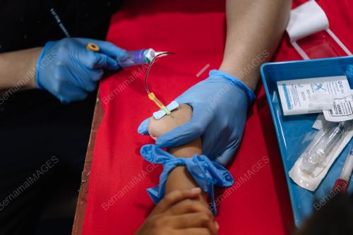 PROGRAM PENCEGAHAN ANEMIA DAN DENGGI