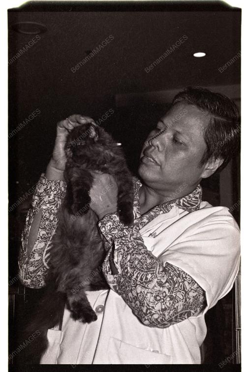 PERTANDINGAN KUCING