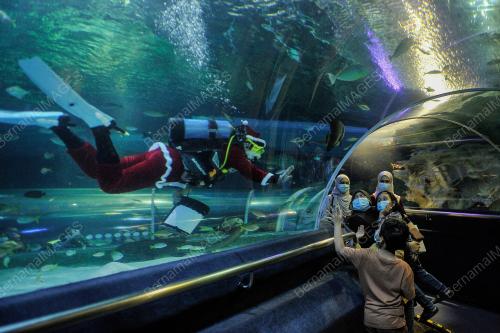 SANTA CLAUS AQUARIA KLCC