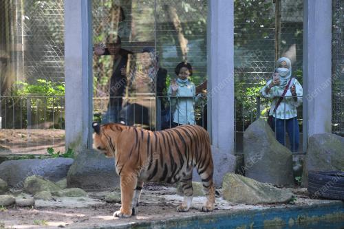 ZOO NEGARA