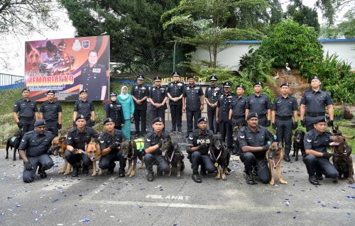 KL04_27112018_K9