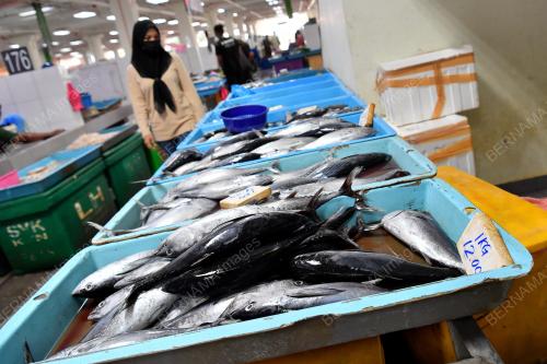 TINJAUAN HARGA BARANG