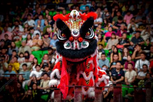 THE 15TH GENTING WORLD LION DANCE CHAMPIONSHIP