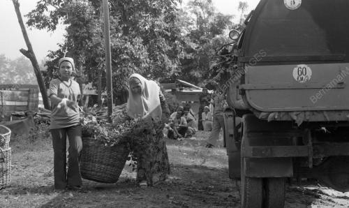 KEMPEN KEBERSIHAN