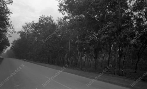 KL04_29012015_LADANG_GETAH