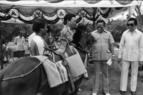 Pergerakan Kuda Bajau