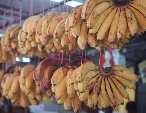 KL05-29_12_2000_PISANG_15012016