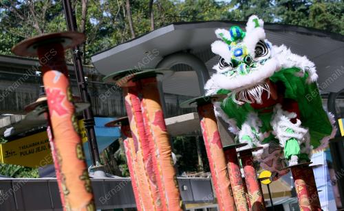 TARIAN SINGA