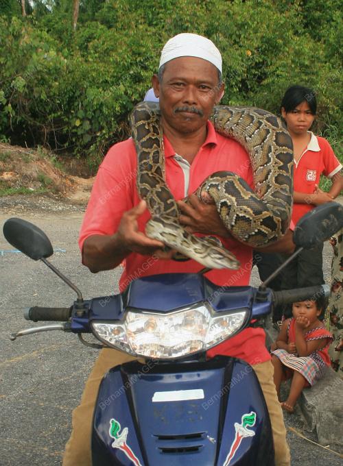 SI BATIK
