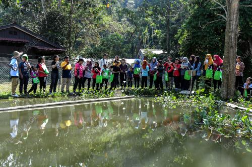 KL05_02032019_ORGANIK_BN201902261683