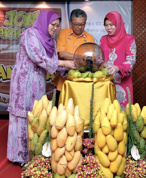 KL05_02052014_MANGGA